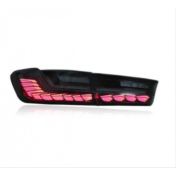 G20 DRAGON LED STOP 